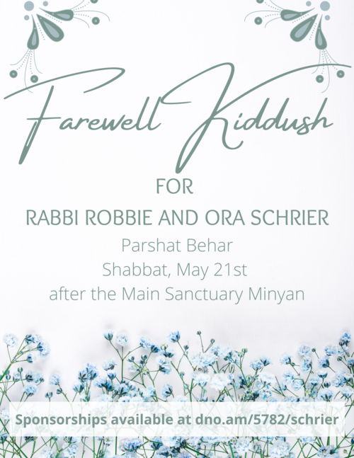 Banner Image for Farewell Kiddush for the Schrier's