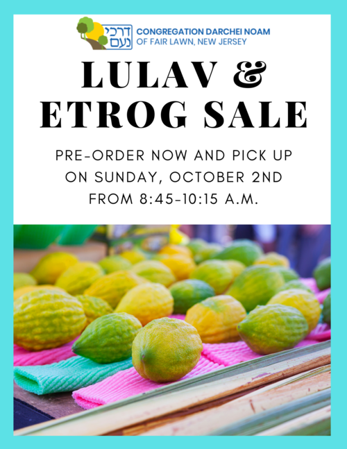Banner Image for Lulav and Etrog Sale