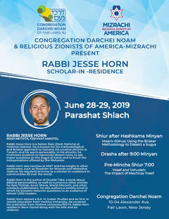 Banner Image for Yeshivat Ha’Kotel Alumni Shabbaton & Scholar-in-Residence: Rabbi Jesse Horn